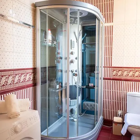 One Bedroom With Balcony-kostyushka Street,16