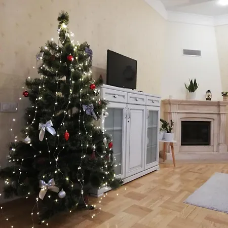 Lägenhet One Bedroom With Balcony-kostyushka Street,16