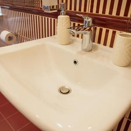 One Bedroom With Balcony-kostyushka Street,16